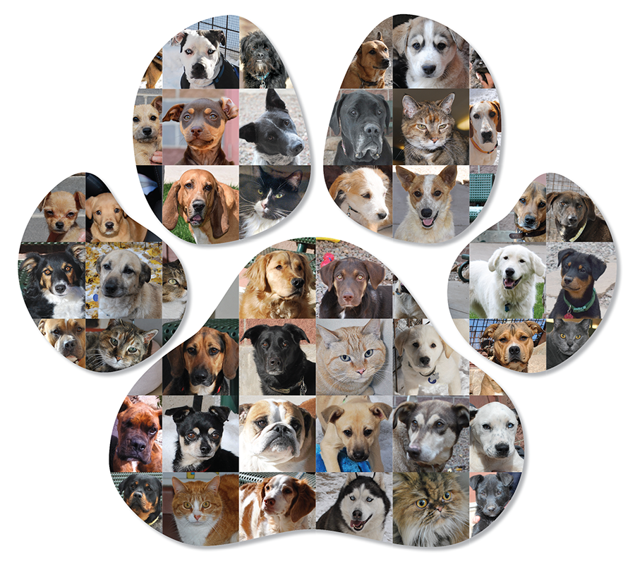 PAW Print.png