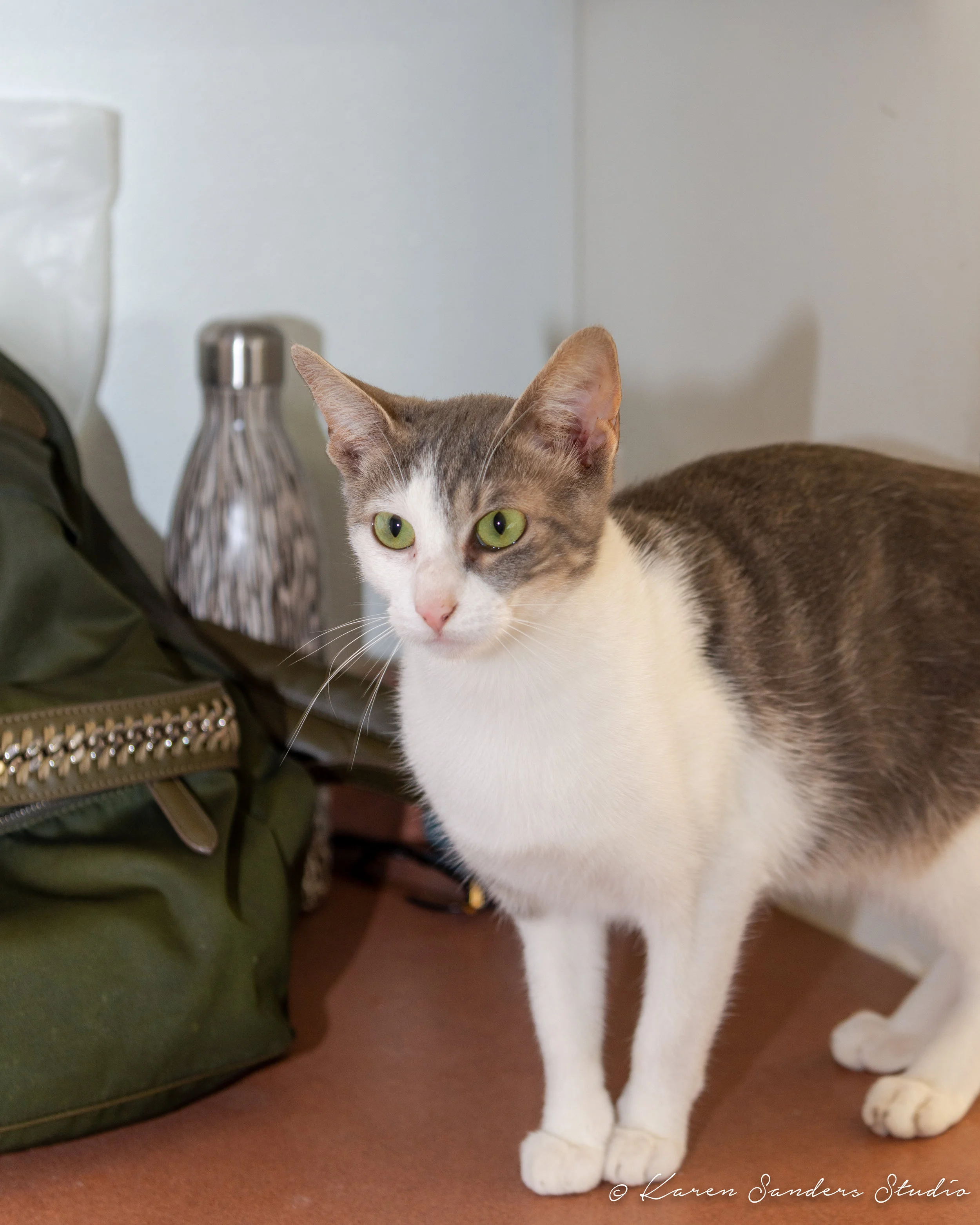 20190728-FAAS-DDA-@karensandersstudio-015.jpg
