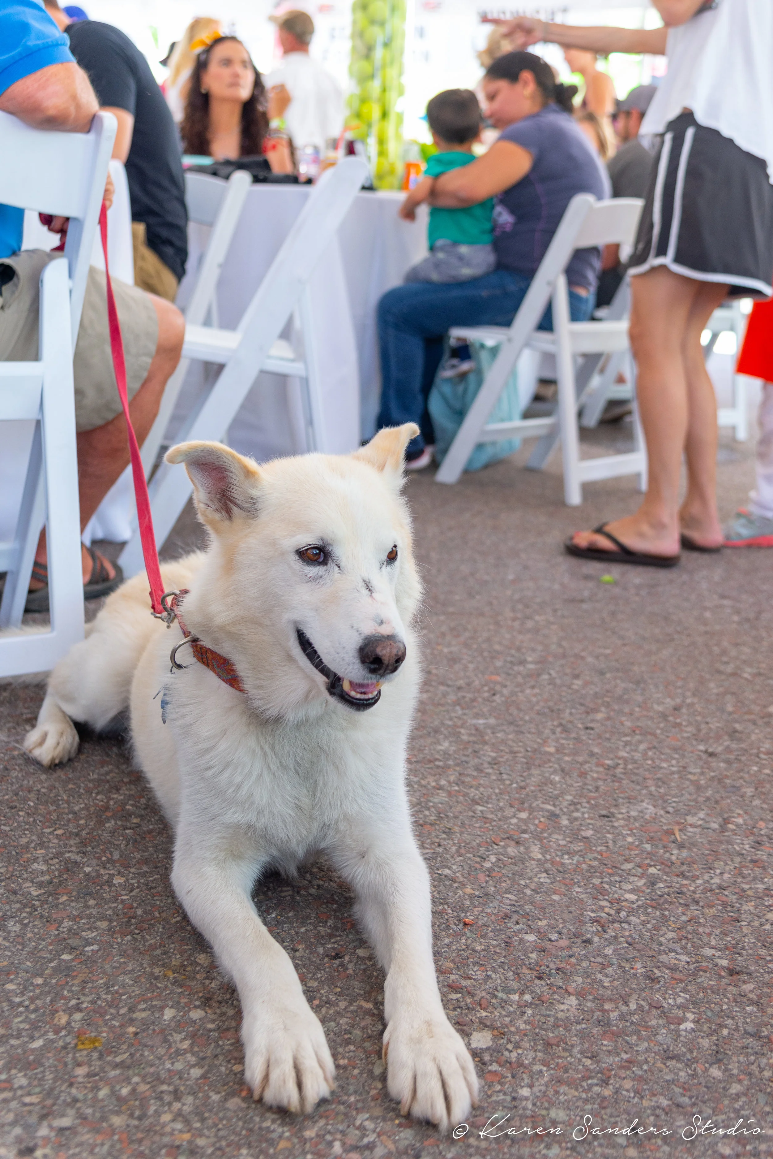20190728-FAAS-DDA-@karensandersstudio-003.jpg