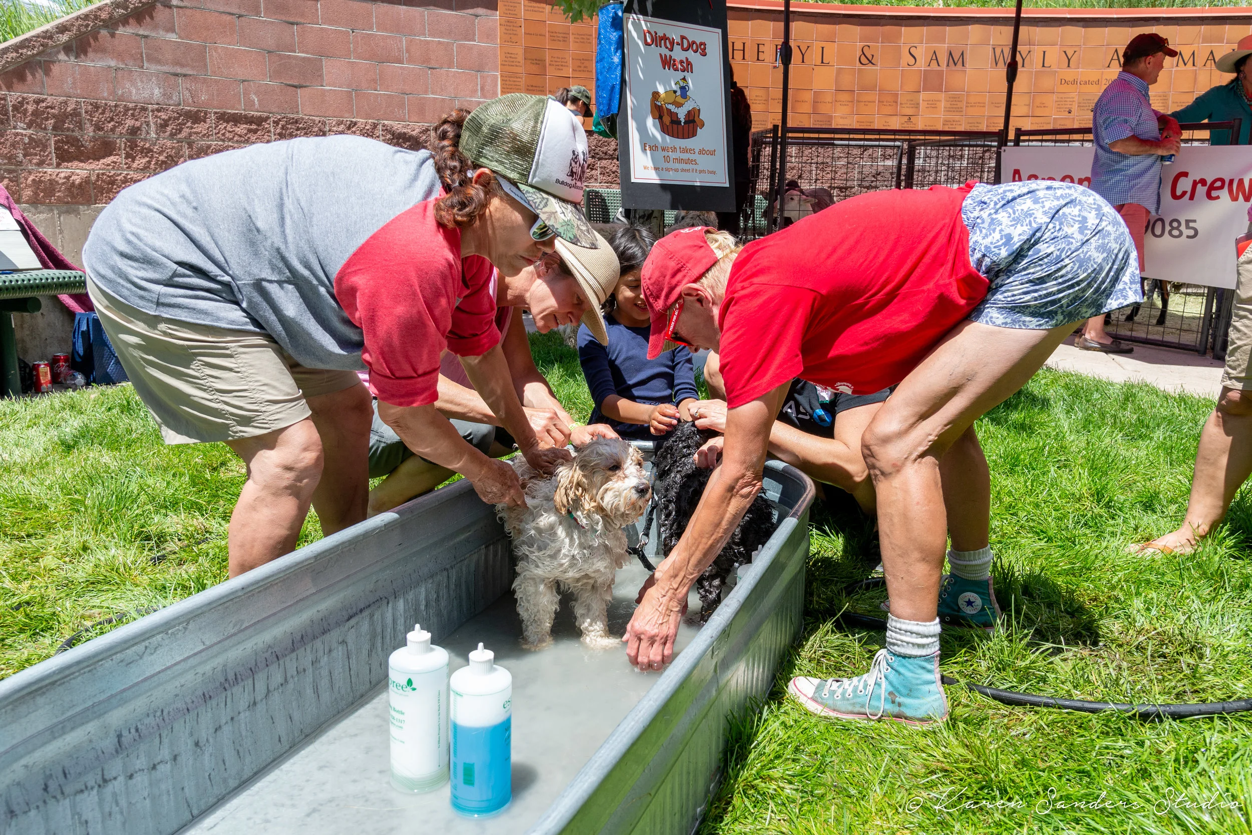 20190728-FAAS-DDA-@karensandersstudio-024.jpg