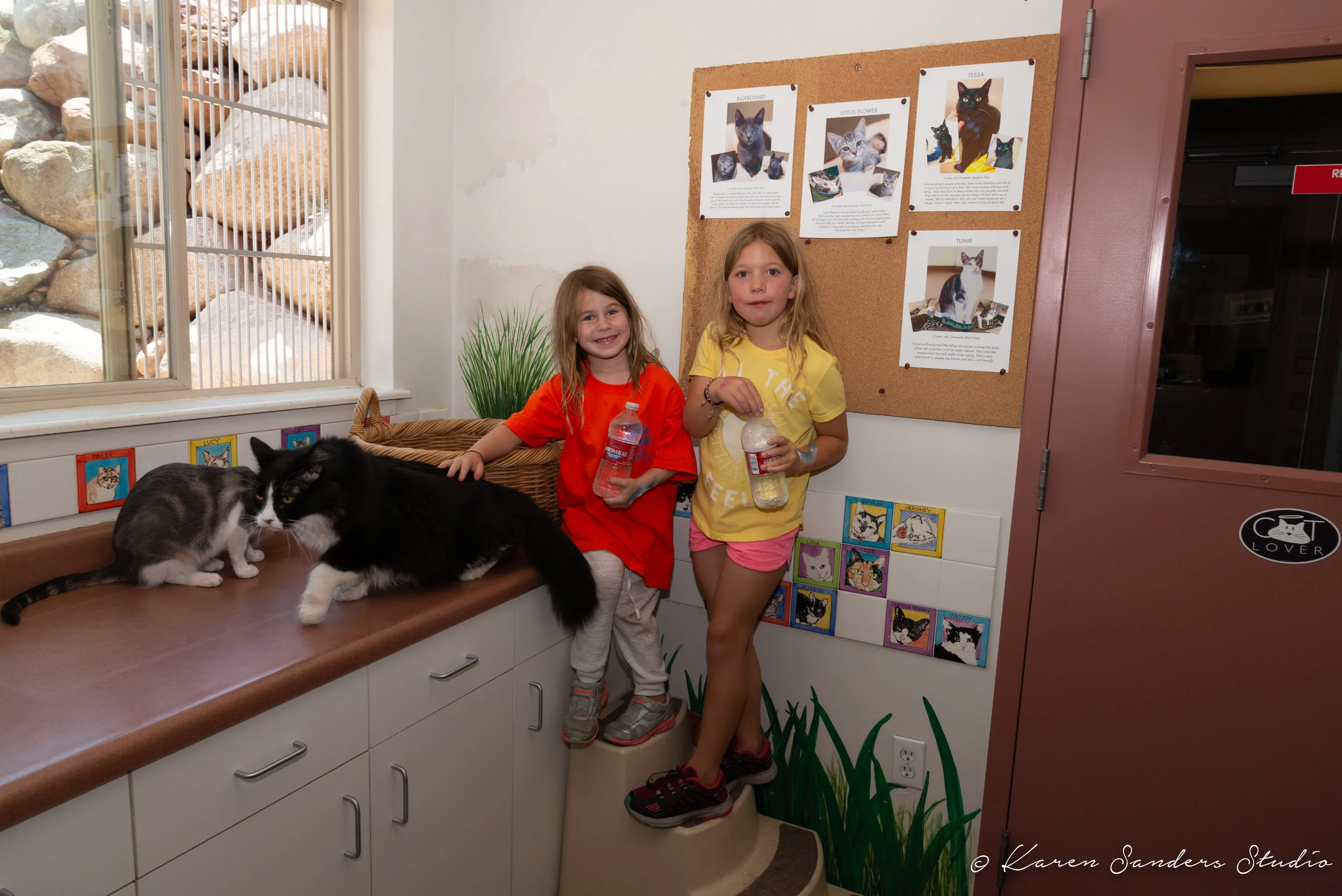 20190728-FAAS-DDA-@karensandersstudio-032.jpg