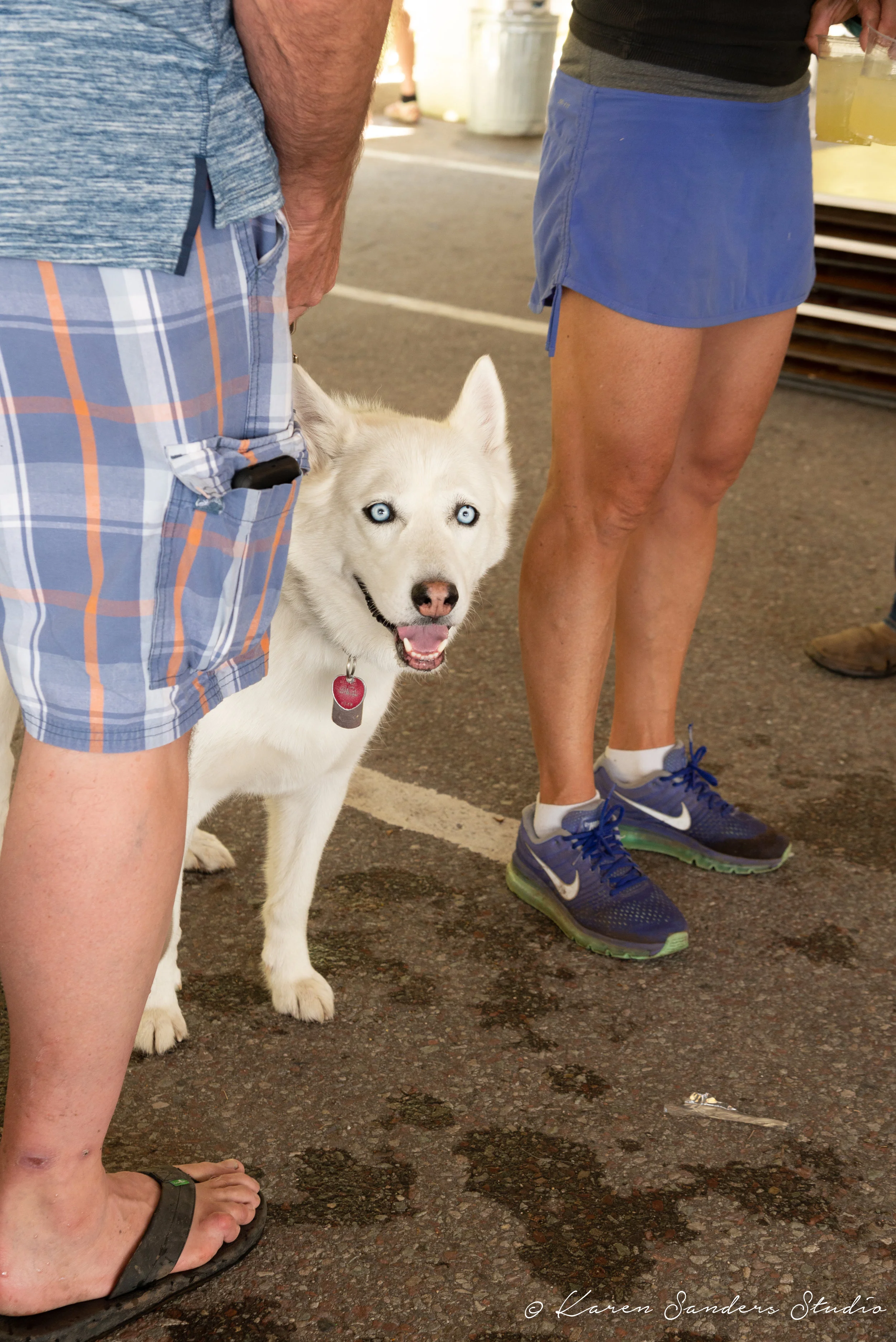20190728-FAAS-DDA-@karensandersstudio-034.jpg