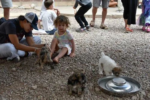 DDA Puppies and Kids.jpg