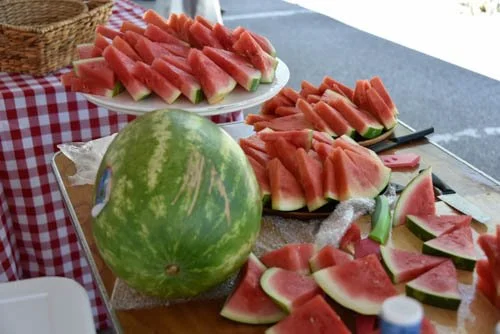 DDA Watermelon.jpg