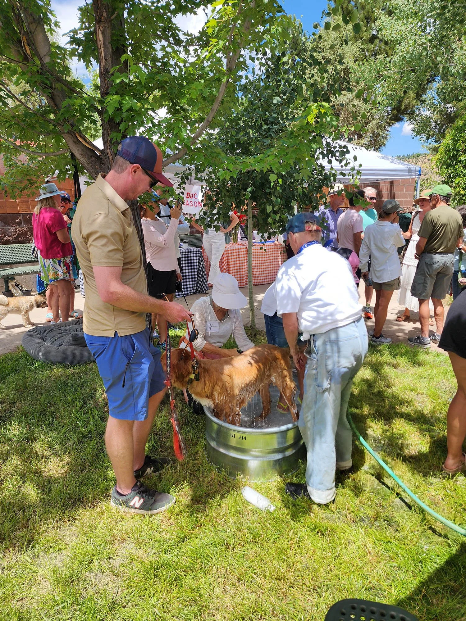 20250706_133813 Dog Wash BN.jpg