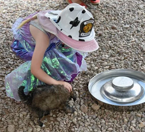DDA Dog Yard USE too.jpg