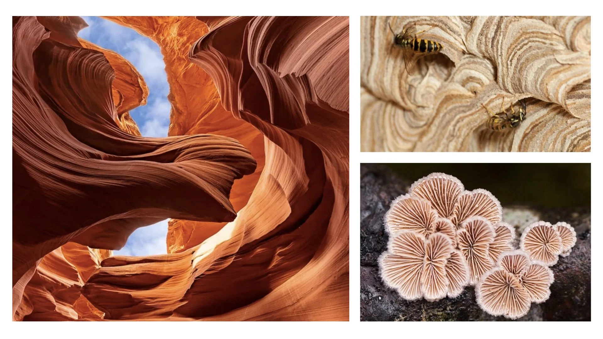 ‎ES-Exhbit Presentation.‎008.jpeg