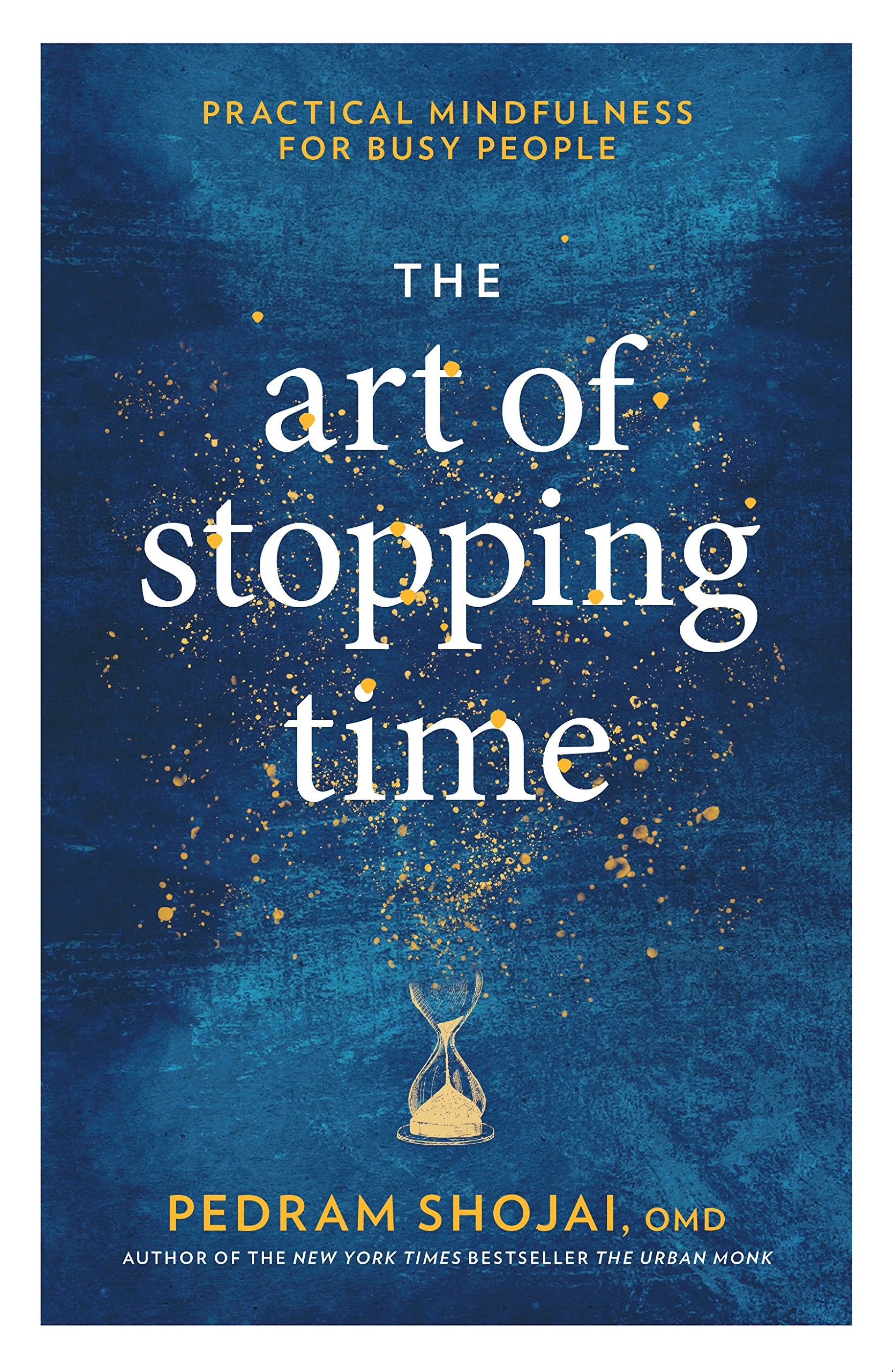 The Art of Stopping Time_Pedram Shojai .jpg