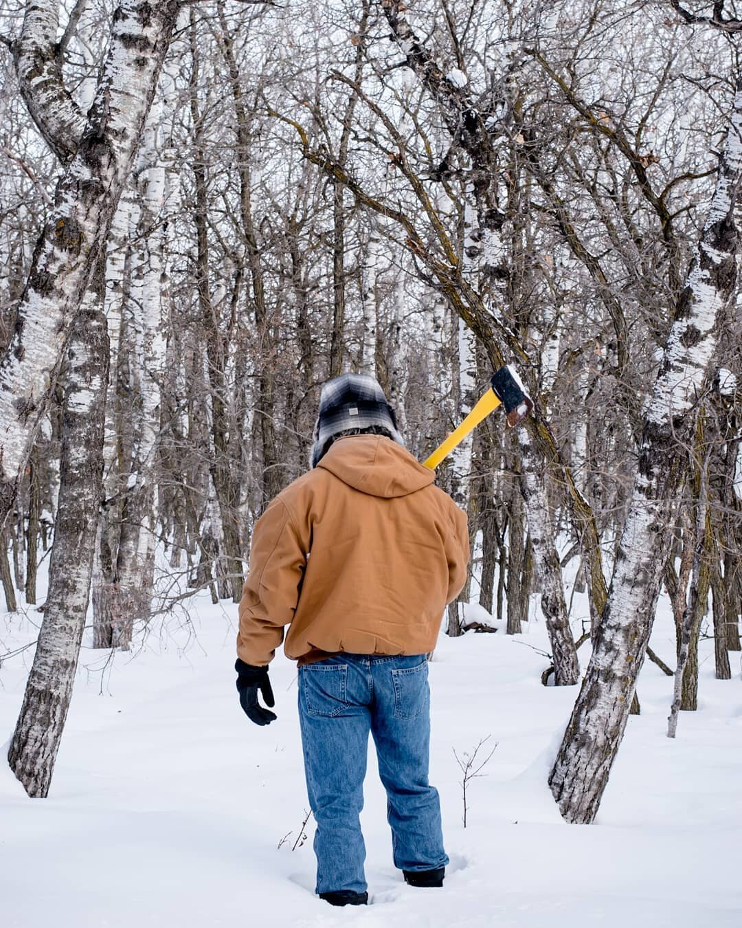 Yeah, we brought the axe on our hike to use as a prop.⁣
⁣
We ventured our way to the Assiniboine forest for this concept shot. No trees were harmed in the making of this photograph.⁣
⁣
❄️🌲🌲⁣
⁣
 #freelancephotographer #winnipegphotography #assiniboi