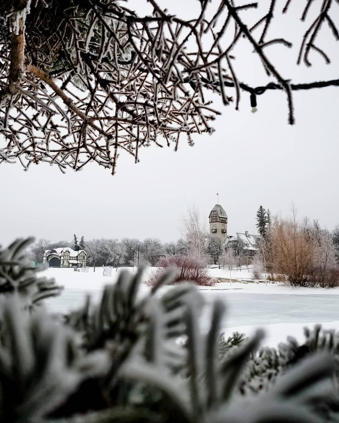 It's a gorgeous day at the Assiniboine park. Hope you're getting some time outside.⁣
⁣
These are the iconic pavilion and lyric stage buildings at the Assiniboine park.⁣
⁣
 #assiniboinepark #winterseason  #yourmanitoba #yourwinnipeg #winterfun #winter