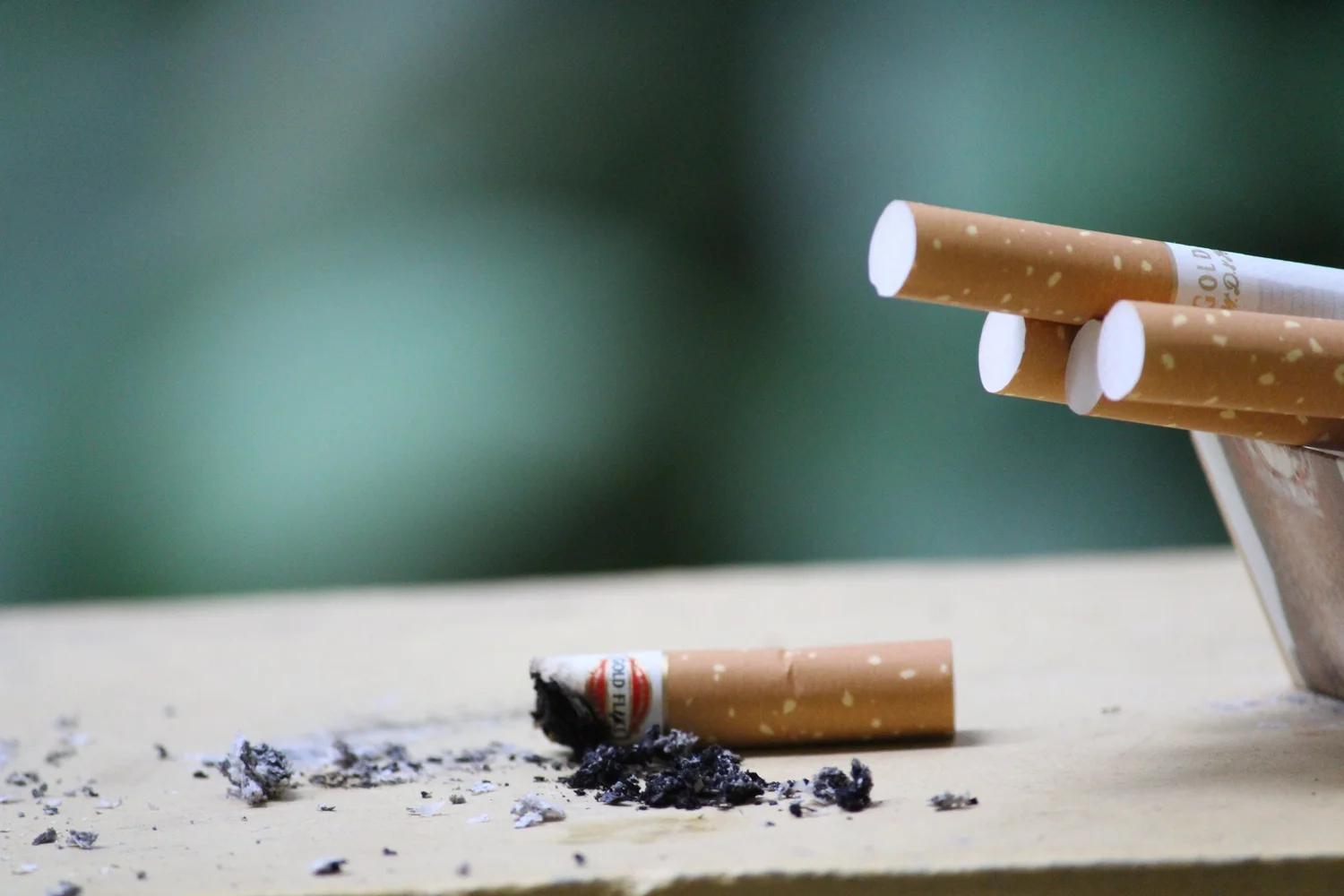 cigarette smoking and diverticulitis Causes And Risk Factors Of Diverticular Disease — Colorectal Clinic of  Tampa Bay