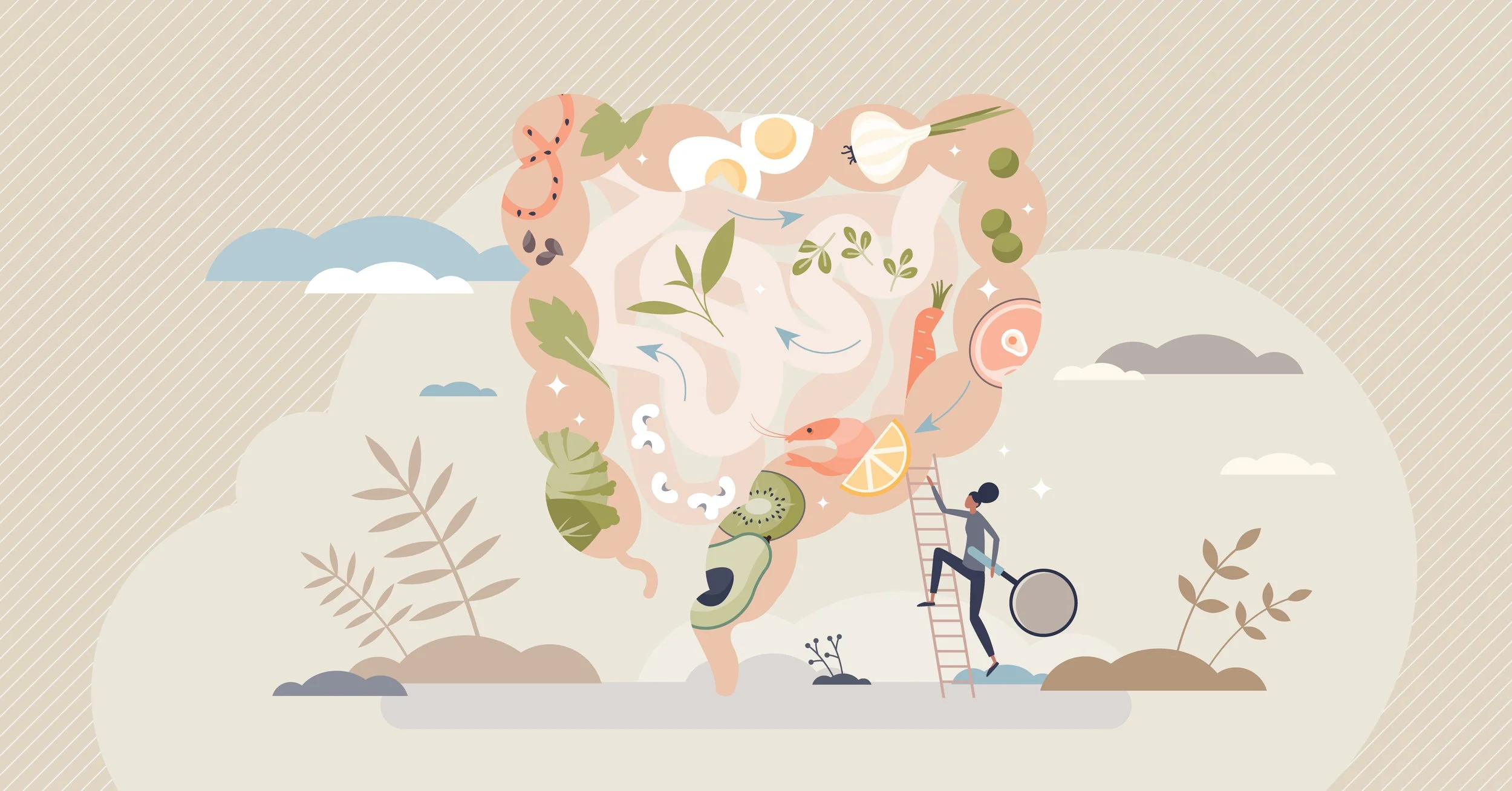 Diet & Lifestyle Tips for a Healthy Colon