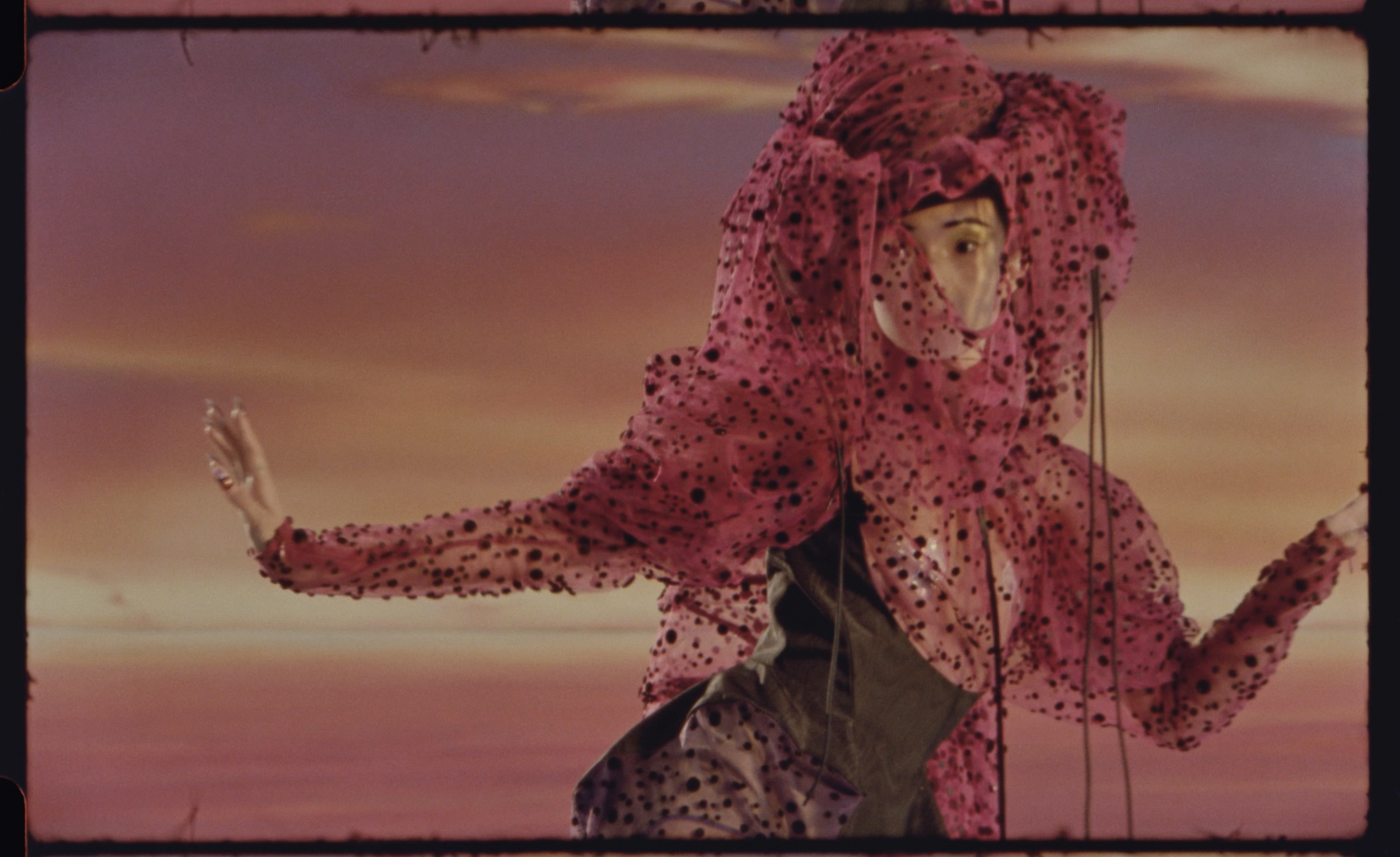 Screen Shot 2024-03-29 at 12.12.31 PM.png