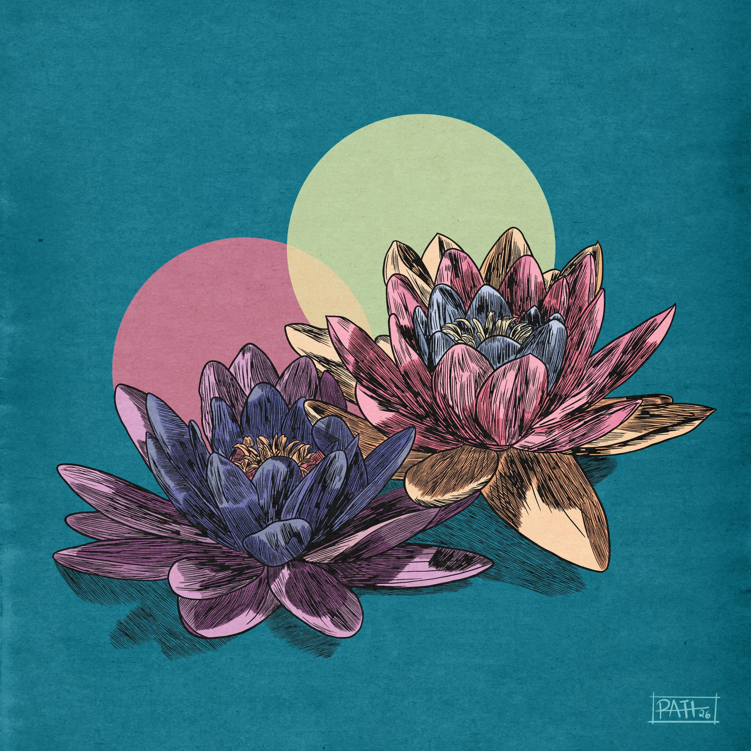 Lotus Illustration.jpg