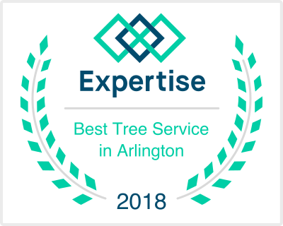 Expertise Logo.png
