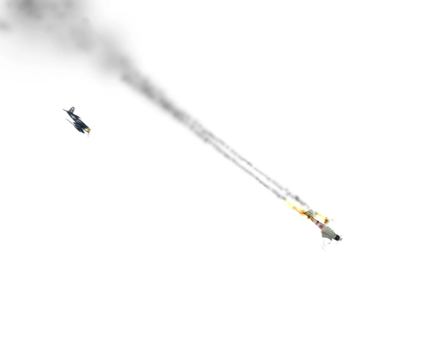 Dog_Fight.jpg