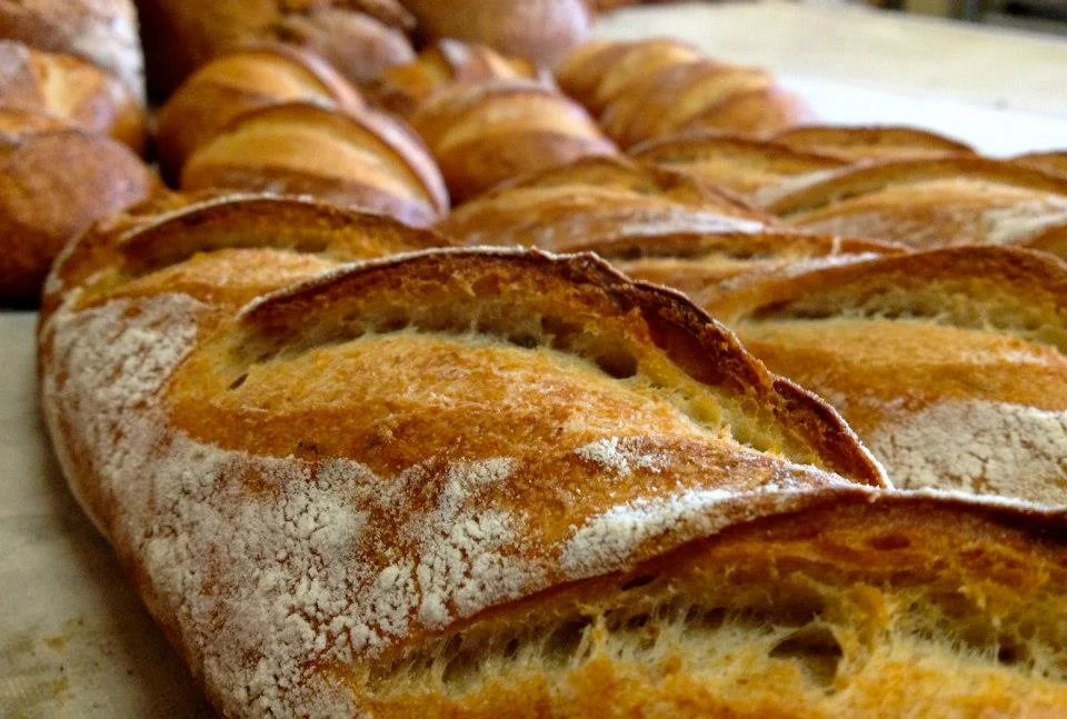 bread cover photo.jpg