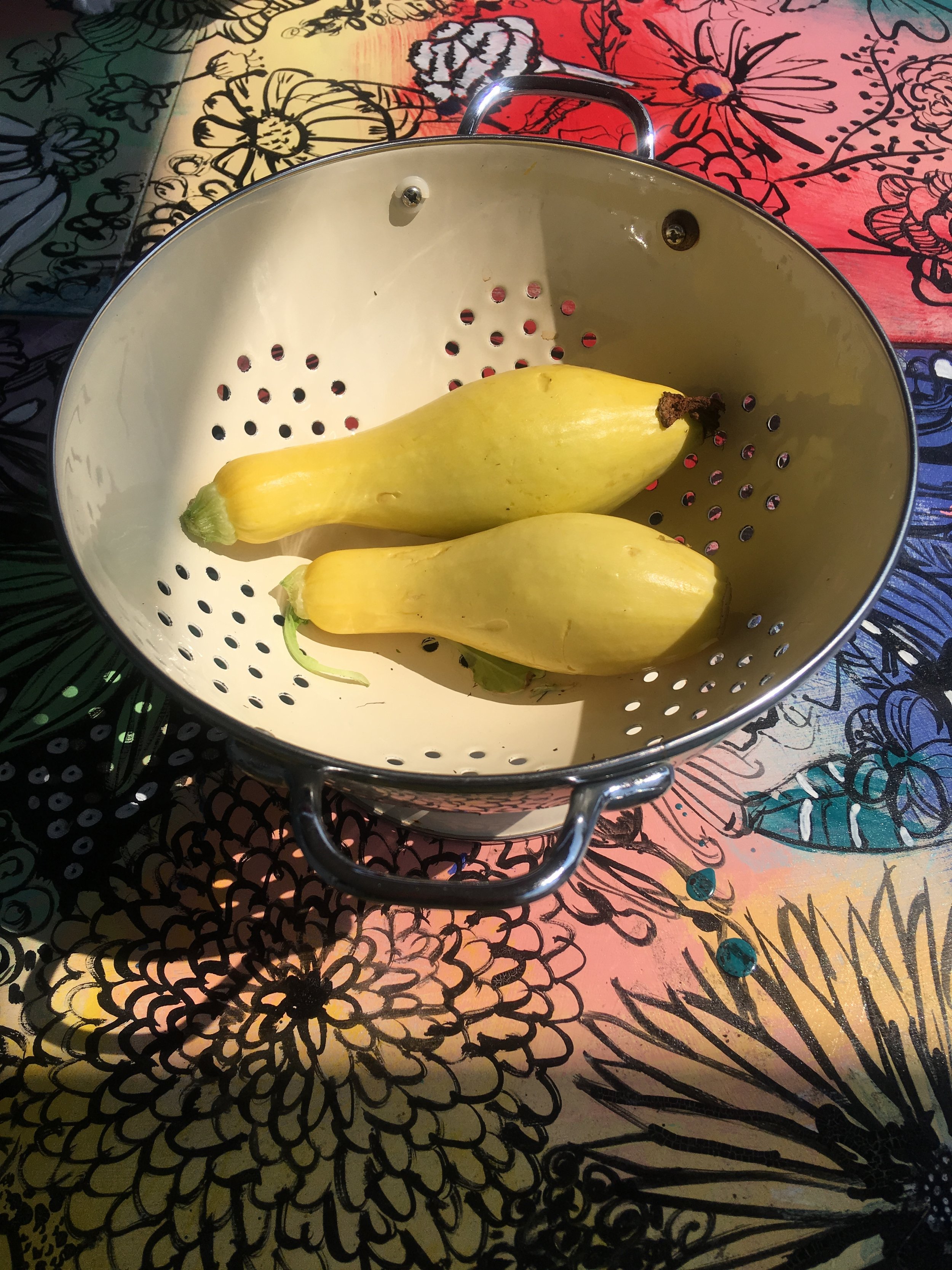 More garden joy: My first squash. (Squashes?)