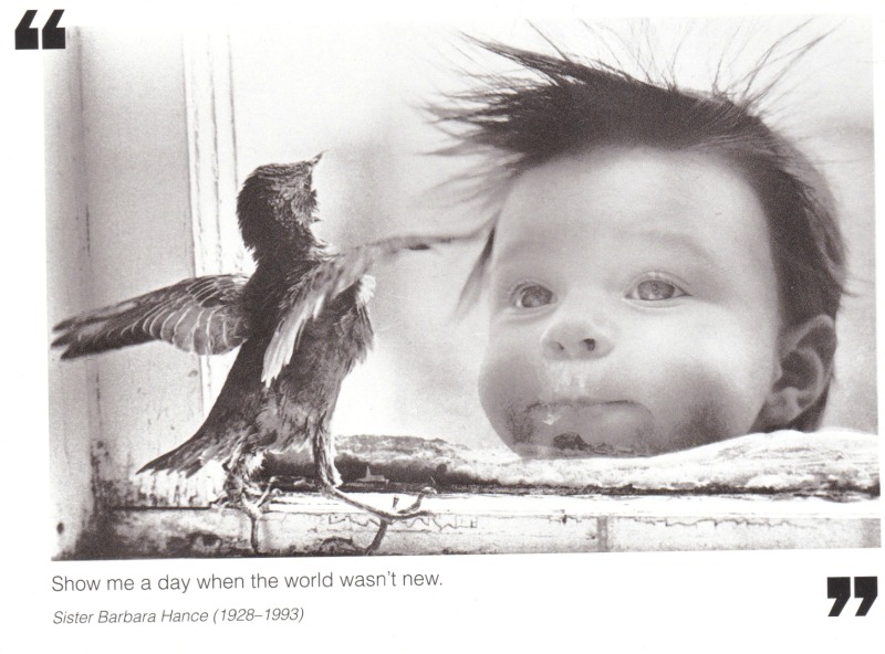 Photograph by John Schoenwalter on card by The Borealis Press Inc.