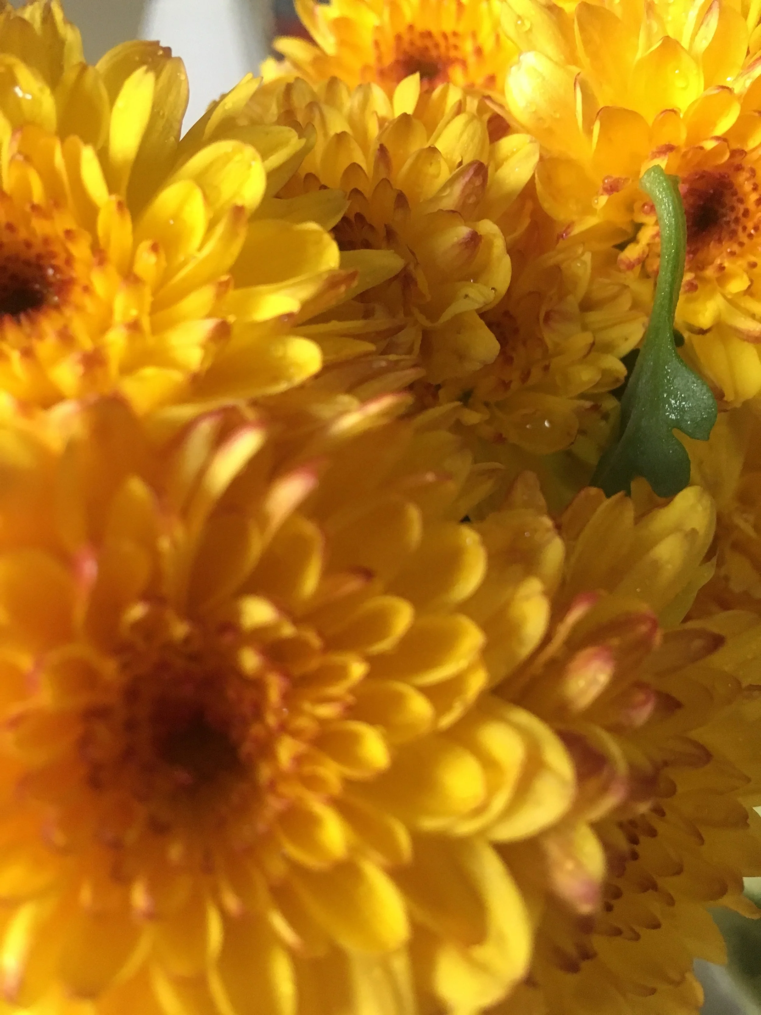 This is why you have to love the mum