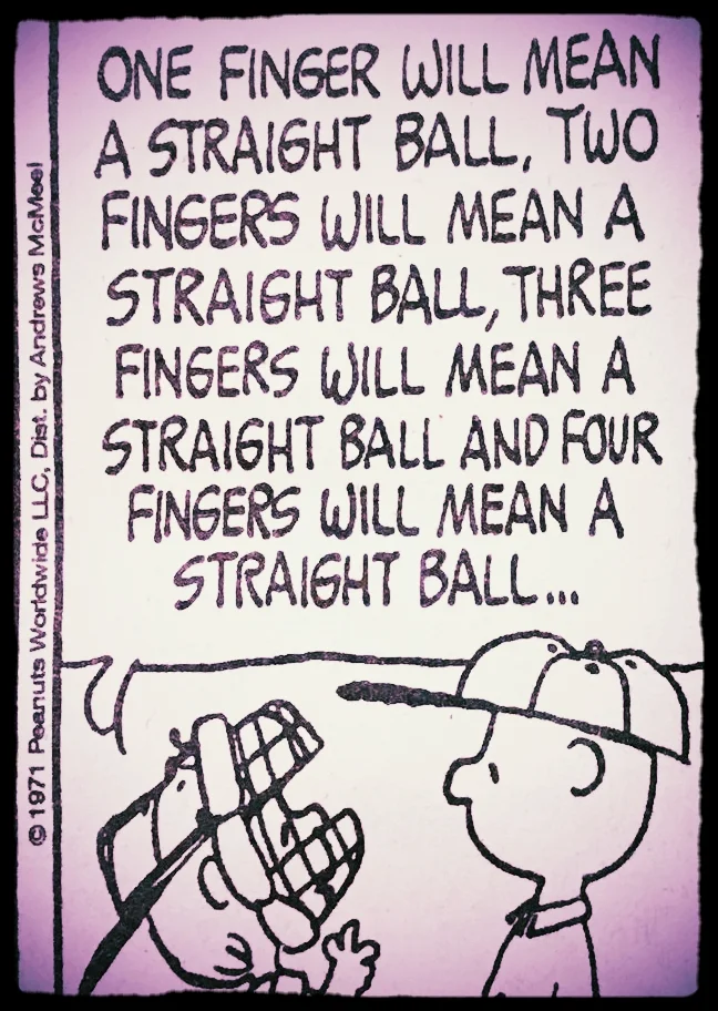 We interrupt our regular posts for this Opening Day! 