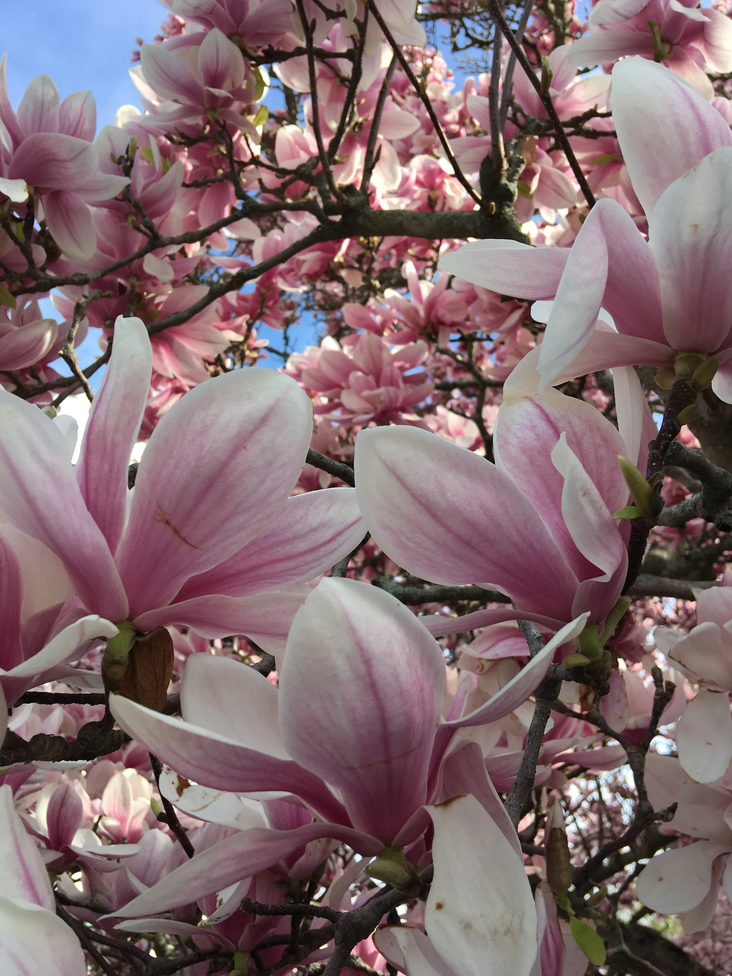 Donna, could you grab the Vodka?