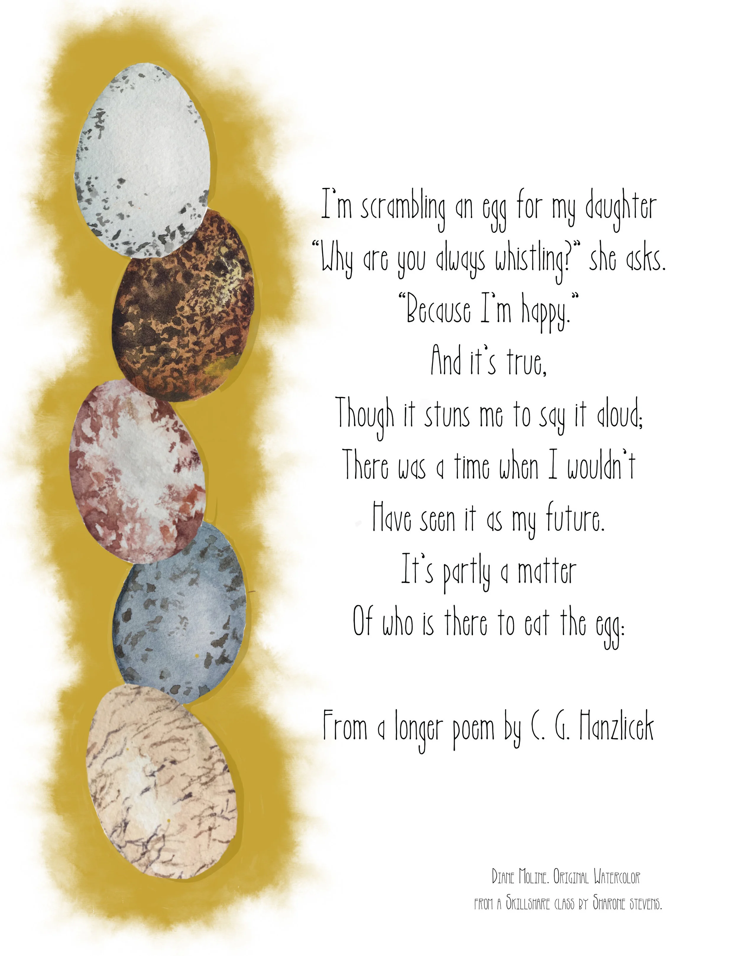 Day 2 eggs.jpg