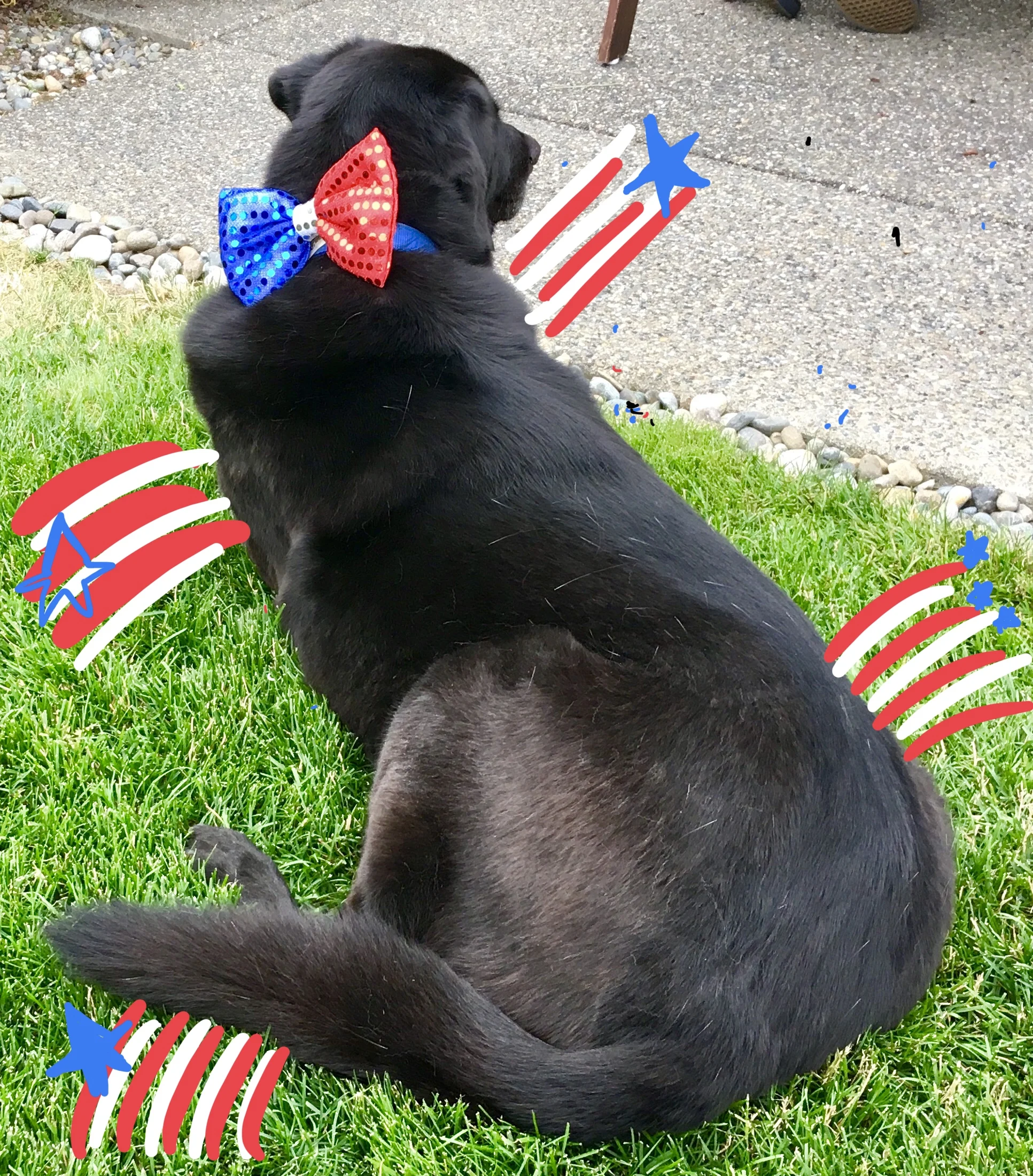 Put a candle on our birthday cake!