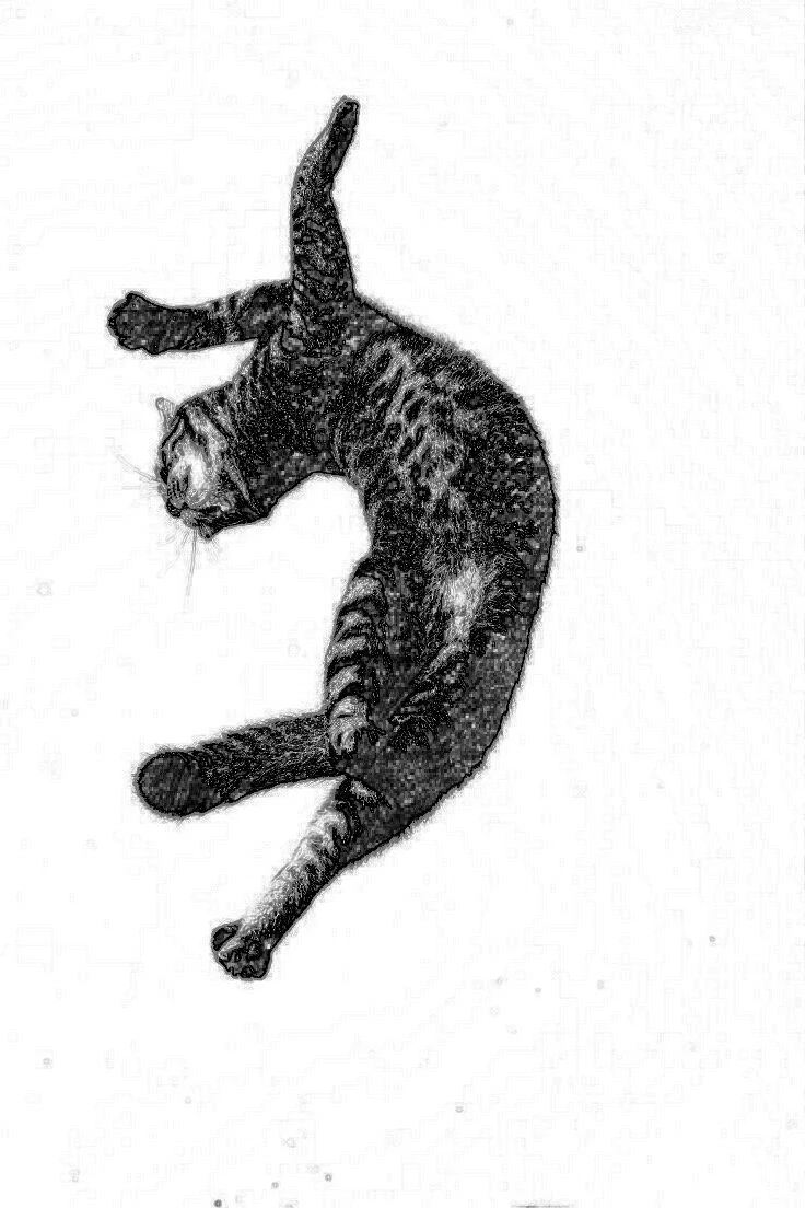 The 2021 Calendar is here ...(almost)!