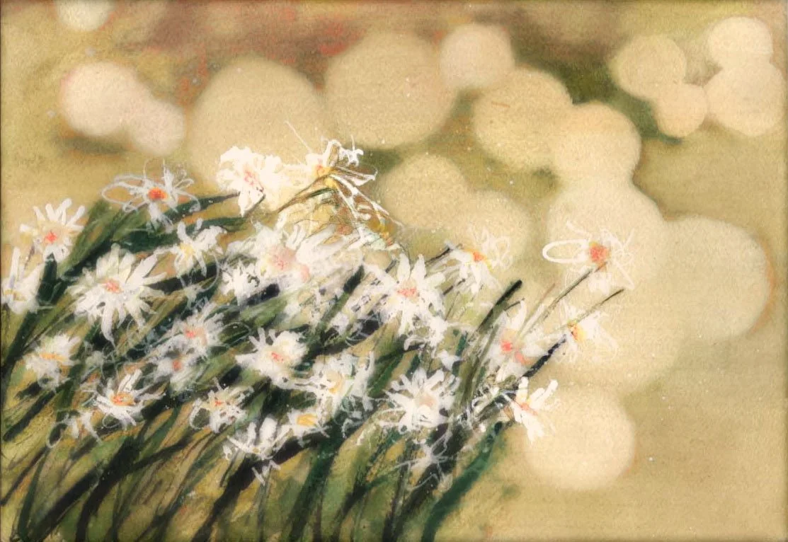 A little bitta bokeh. 