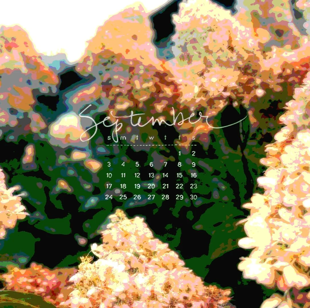 So here's the thing....