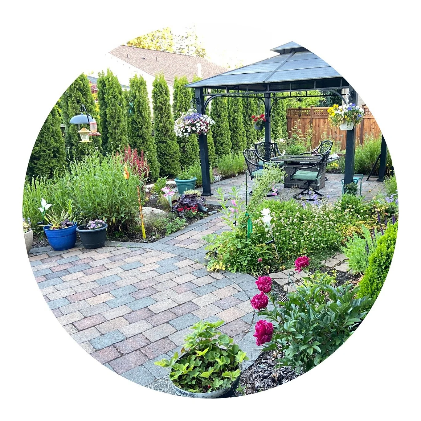 Just checking in....