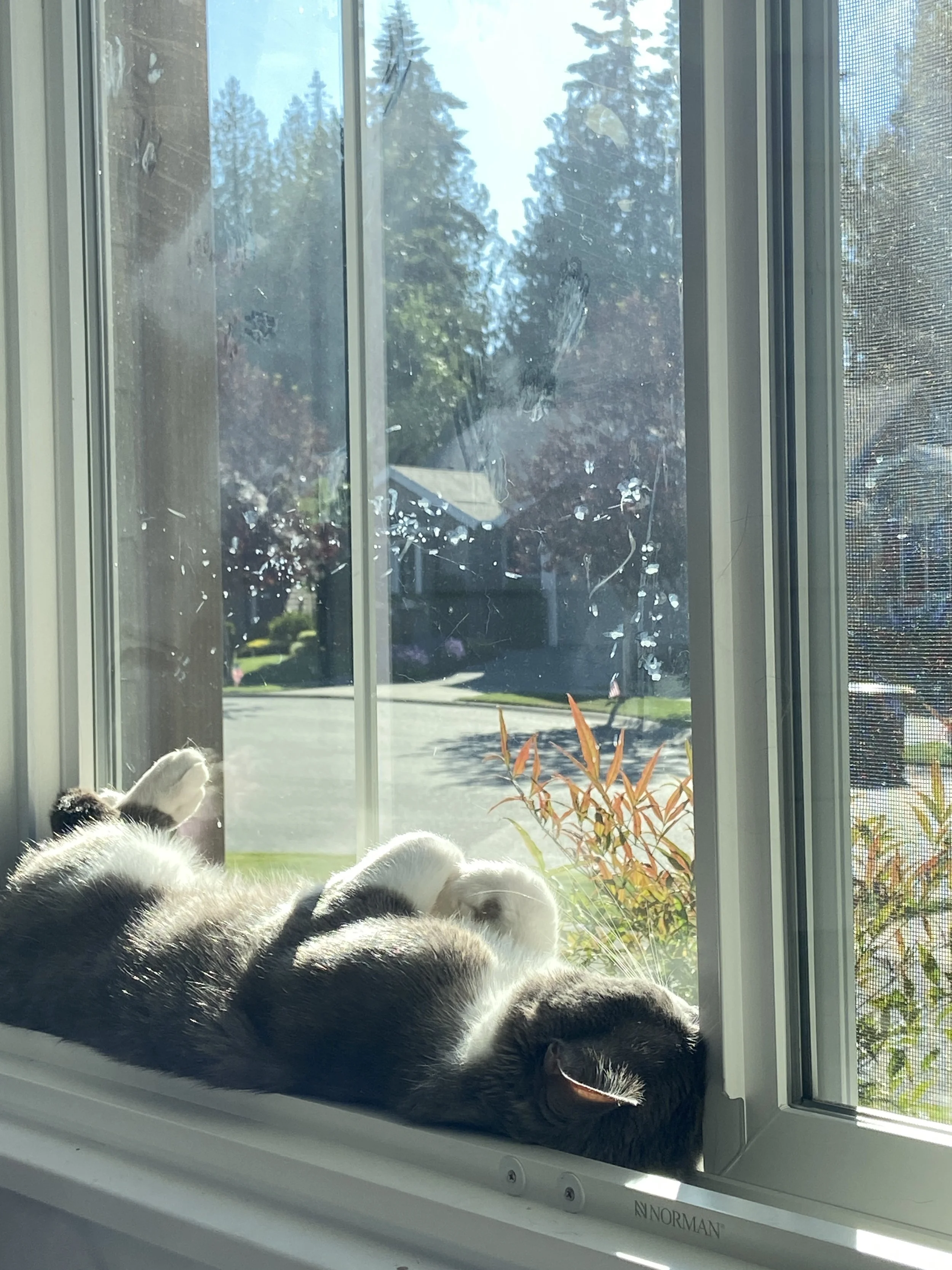 July, I've waited so long. 