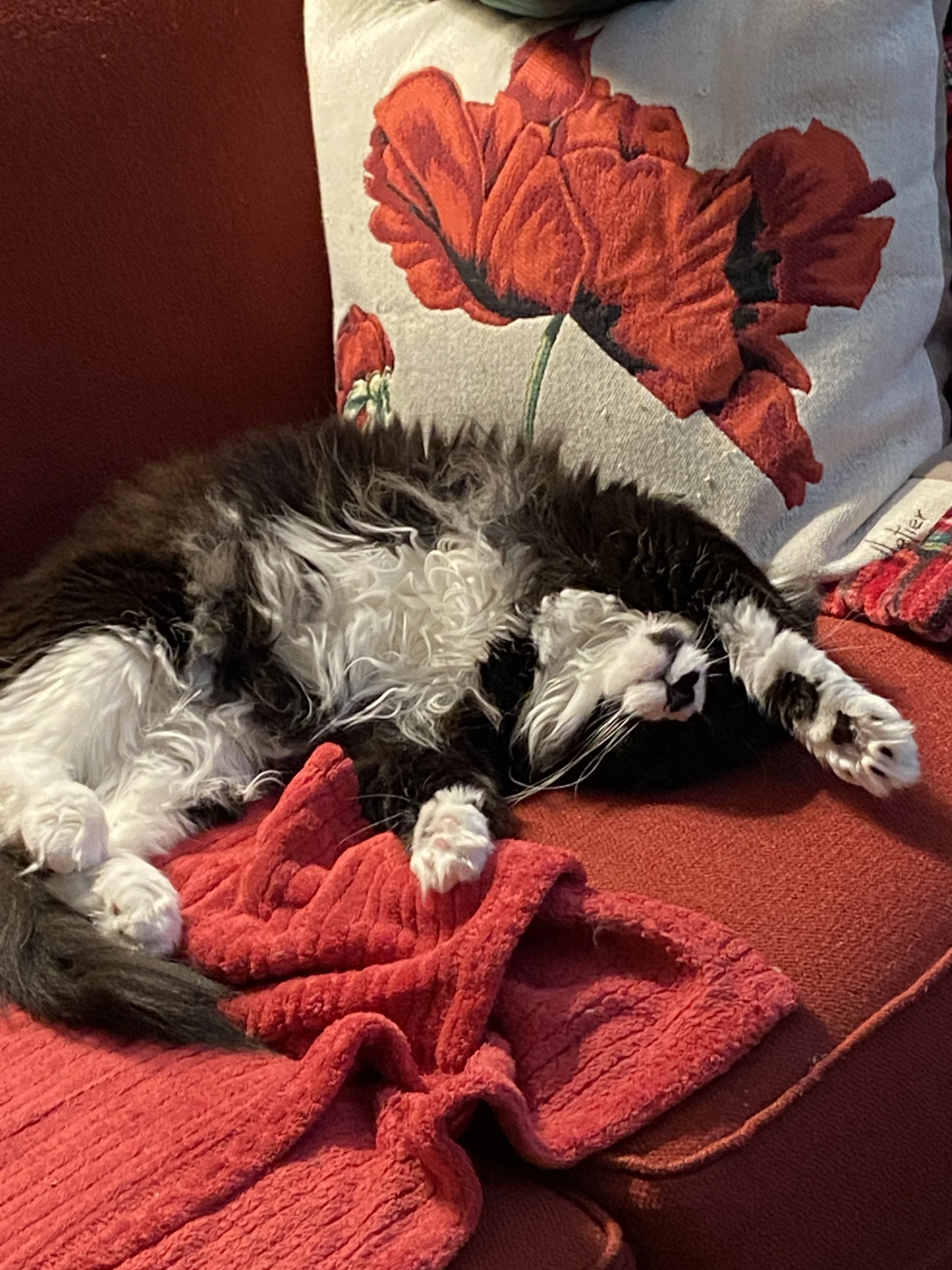 Have a good one, 2026.