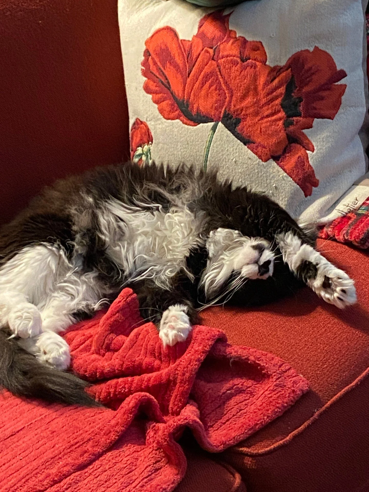 Checking in to say hello.