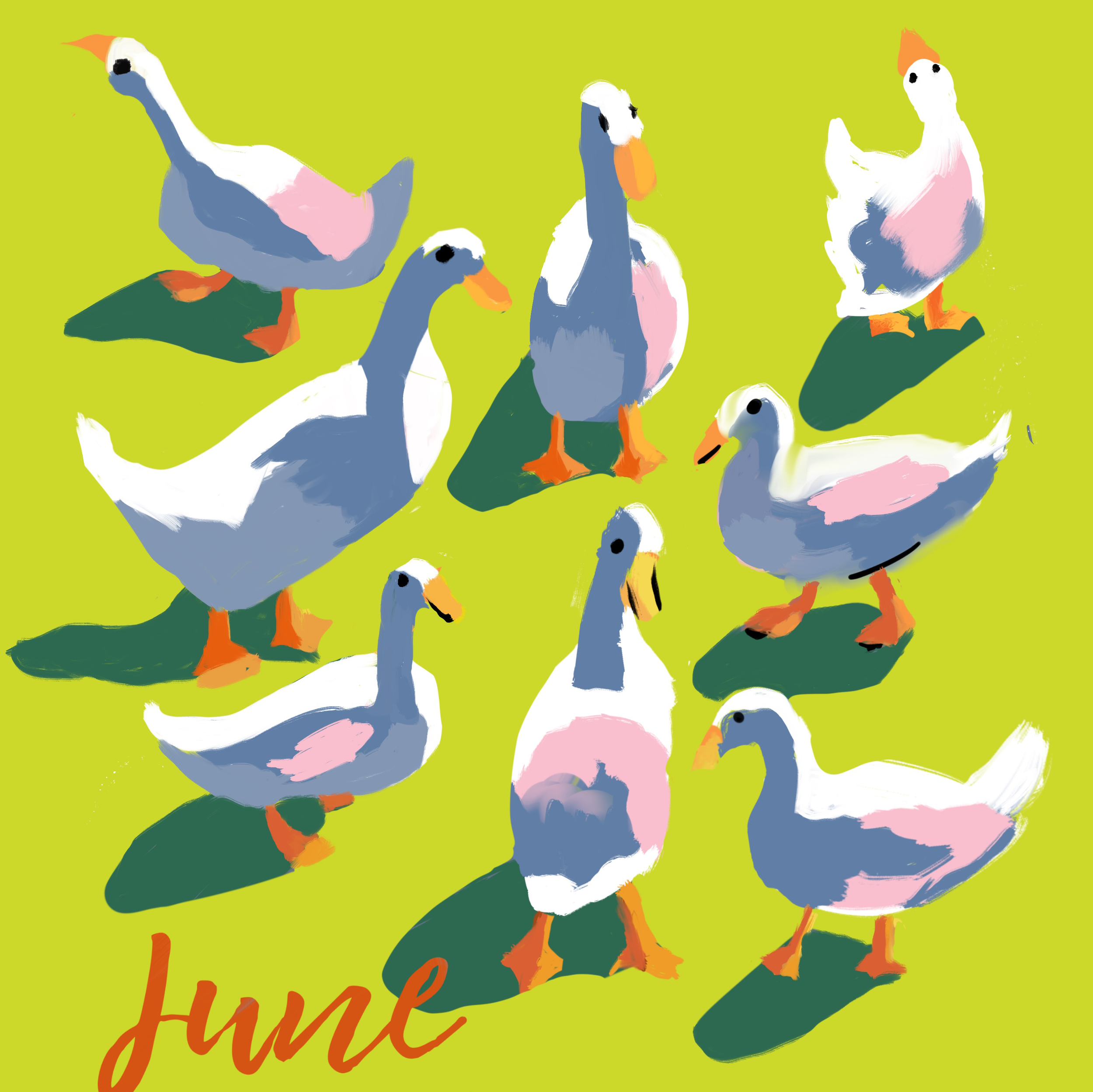 june geese.png