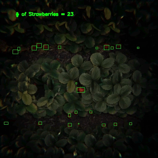 strawberry_counter.gif