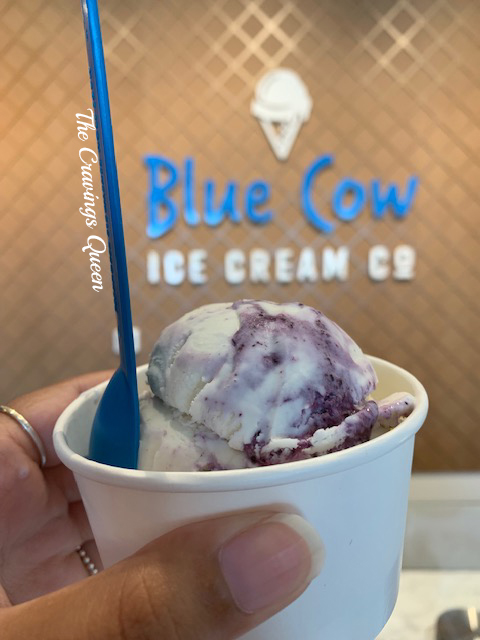 Blue Cow Ice Cream.jpg