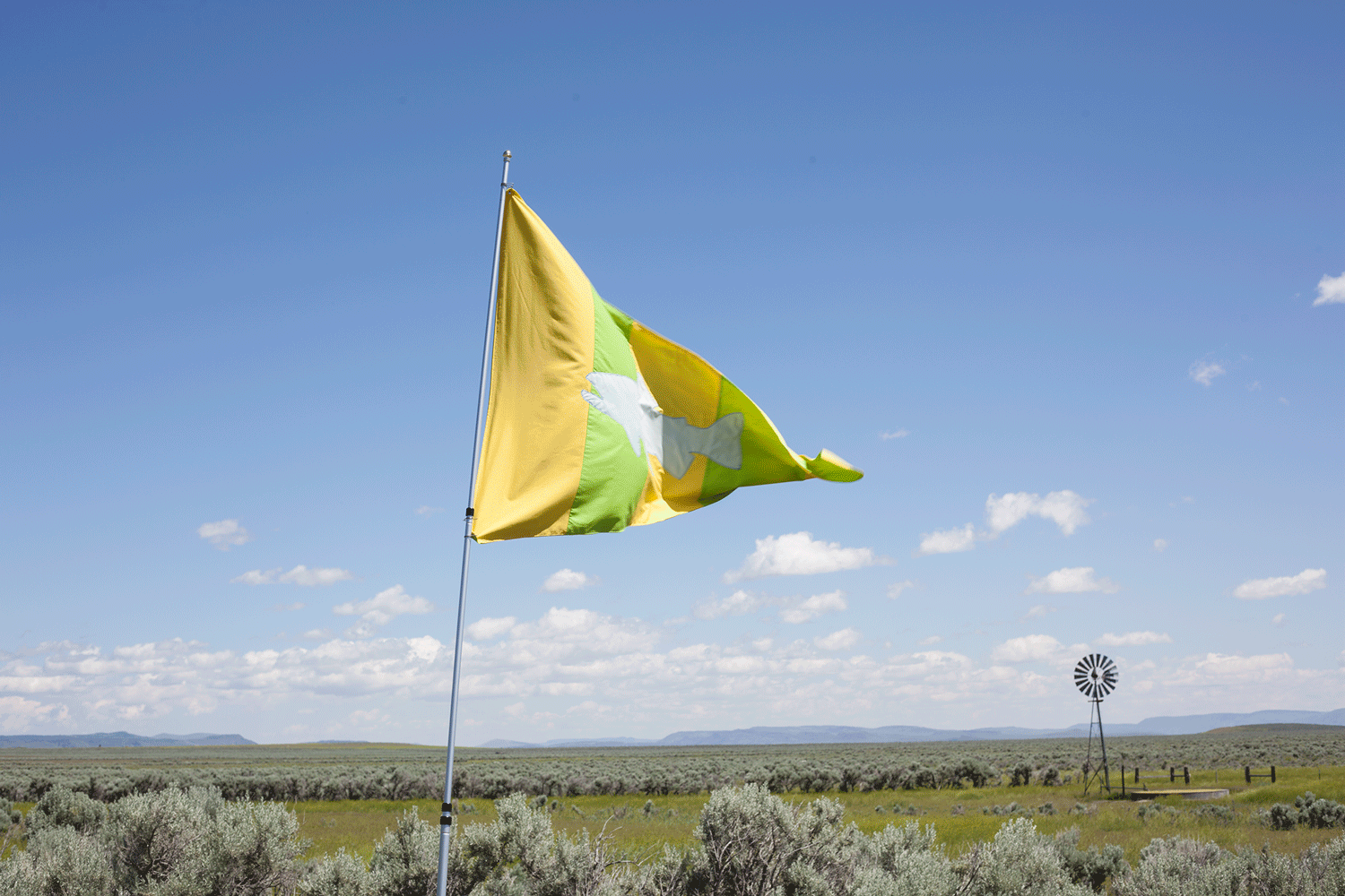 Vya Regatta flag in Vya, NV