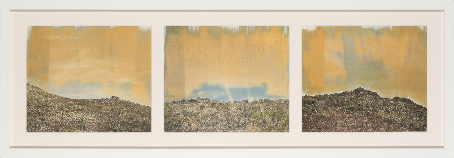 Desert Dusk, 2019