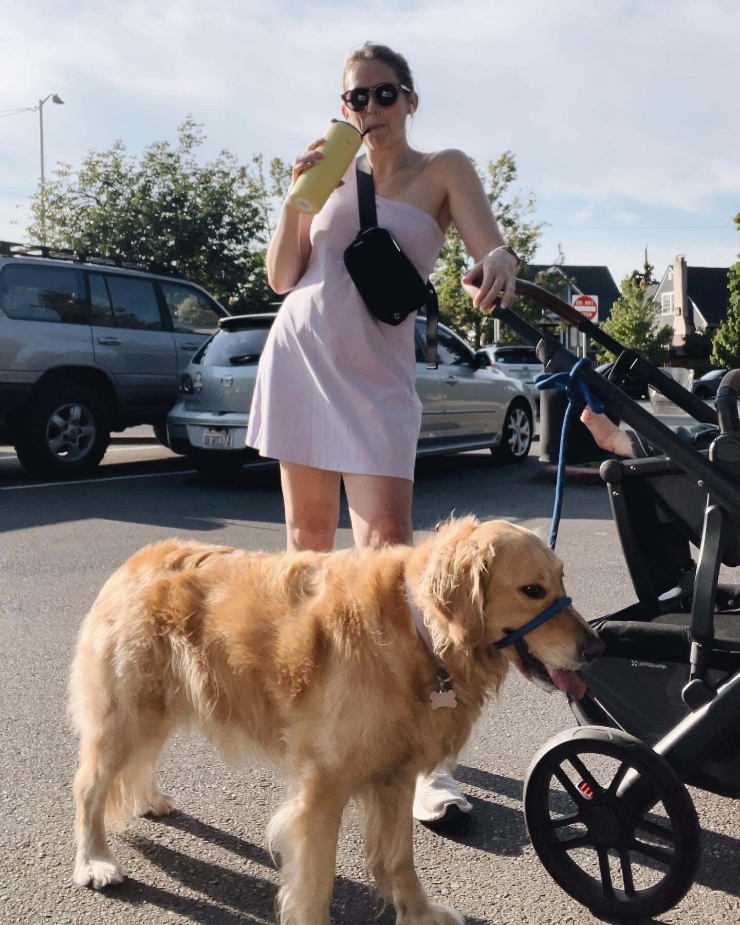 I&rsquo;m not a regular mom, I&rsquo;m a cool mom 💀 

can&rsquo;t tell you how much bravery it took me to bring the dog *and* the baby out for a walk the first time (so much coordination! so many logistics!) and now we&rsquo;re out here crushing the