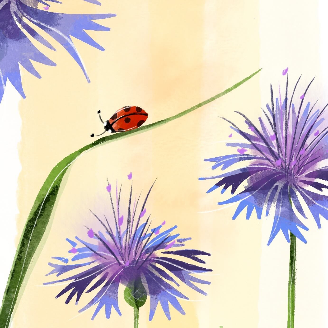 Detail of the next illustration in the spring garden series! 🐞 
&bull;
&bull;
&bull;
#illustration #ladybug #bachelorbuttons #spillstudioart #spillstudiospringgarden
