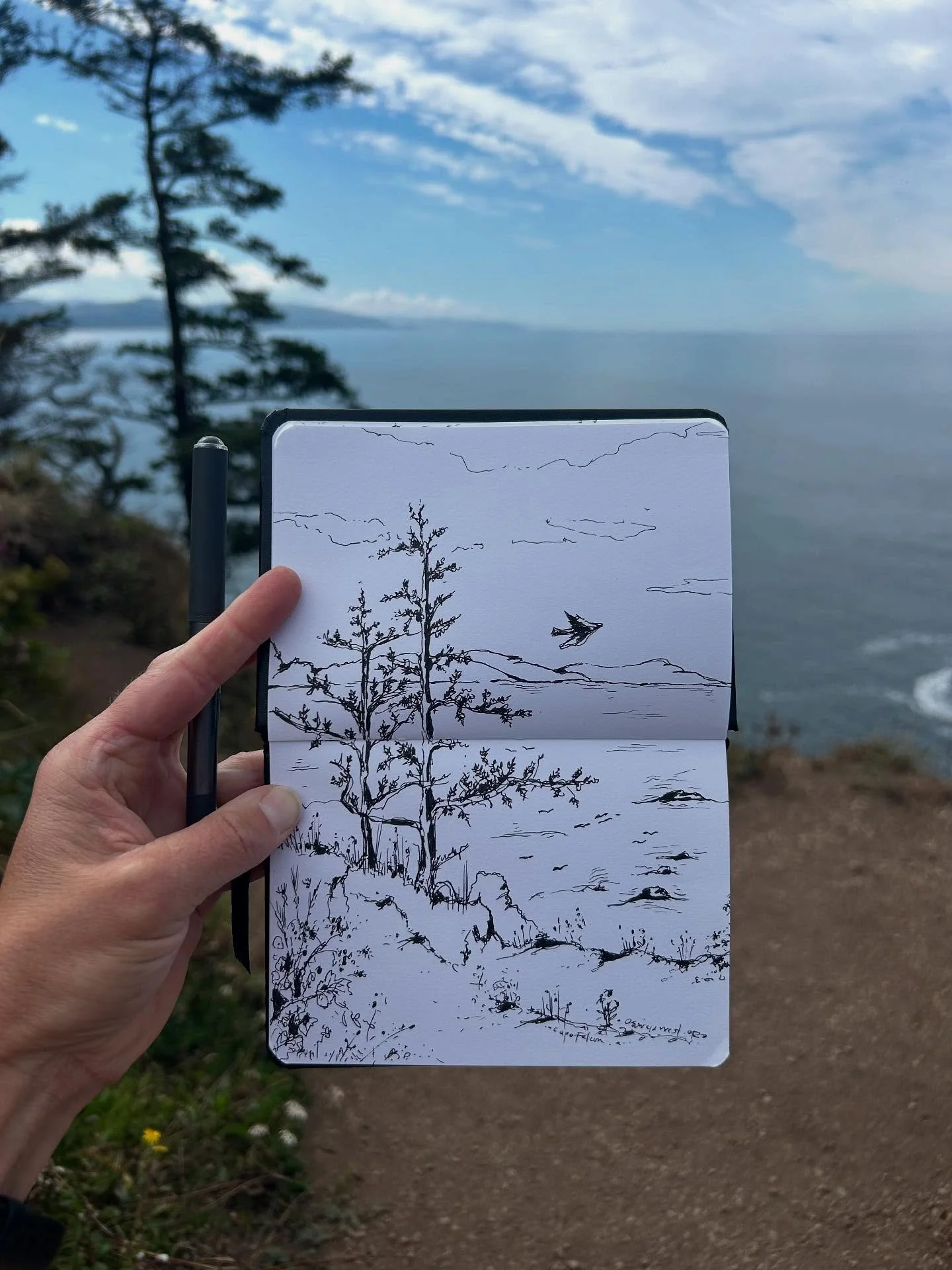 Cape Falcon sketch &amp; hike! I ❤️ the Oregon coast.