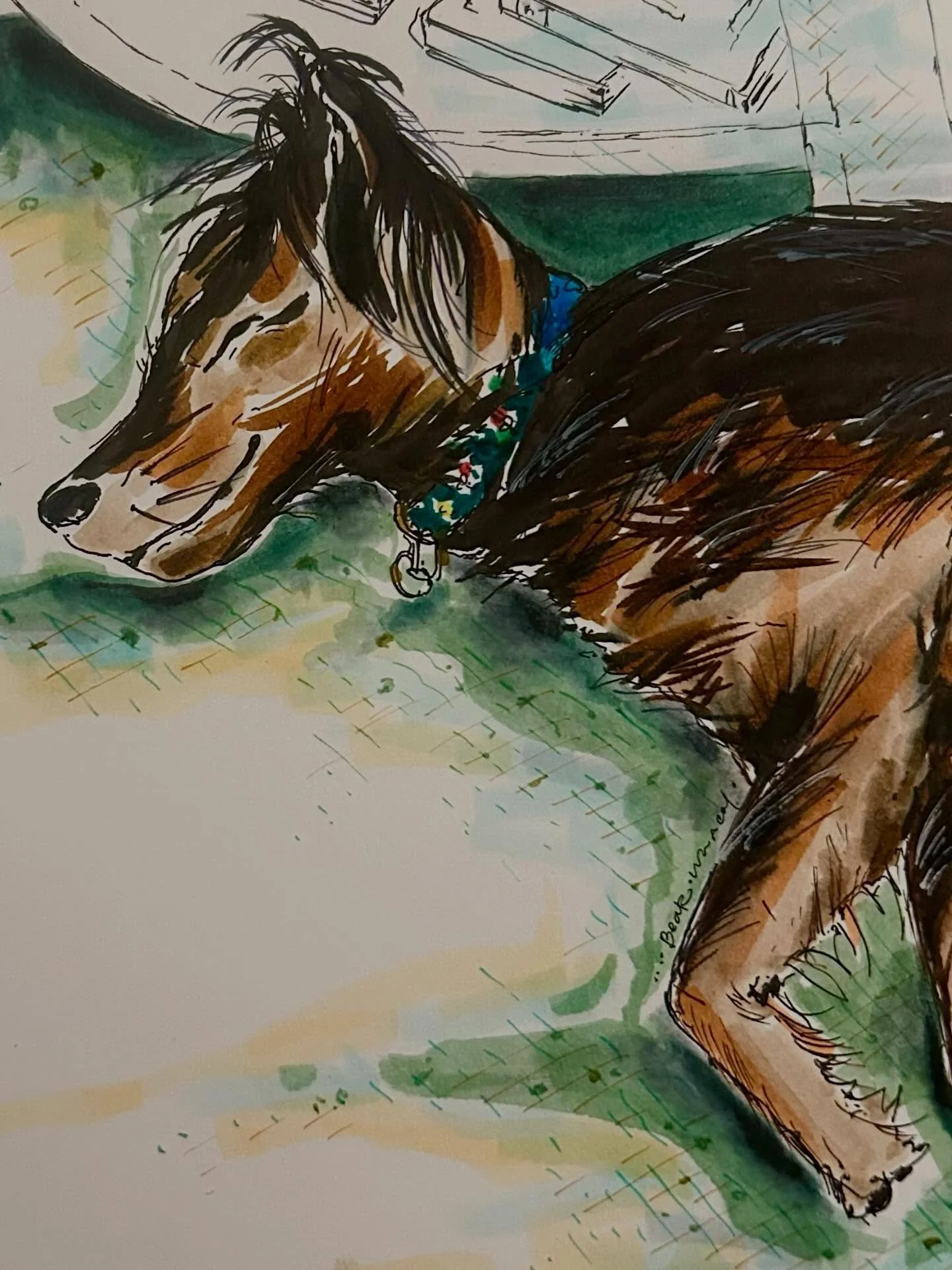 Another sketch from my living room. Must get out of the house and make it to to a coffee shop or park to sketch this weekend! 

Bear was not going to stop relaxing and sit up for me, so here he is doing his usual thing. Got some pics after he woke up