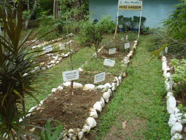 P1010144.JPG