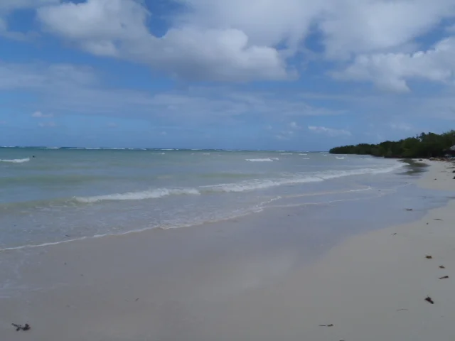 P1010164.JPG