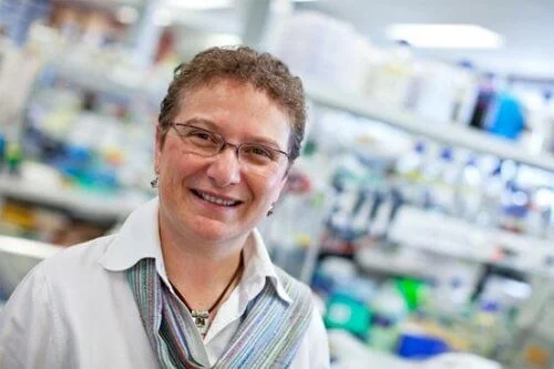 Prof Maria Kallavaris in Lab.jpg