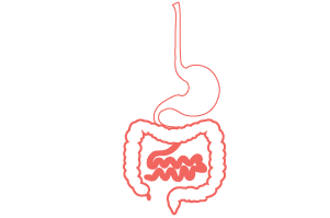 Gastro-Intestinal Cancer