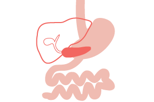 Digestive System Cancers