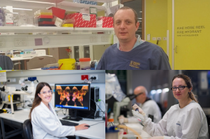 Cure Cancer Announces Newly Funded Researchers from Around the Globe on  World Cancer Day!
